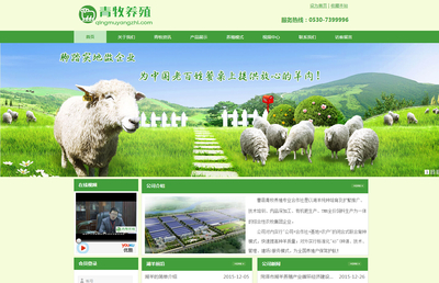 青牧养殖合作社
